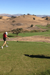Jun Lee in pink shirt Fry's.com Open